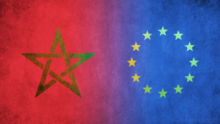 Amara,intégration,réseaux électriques
