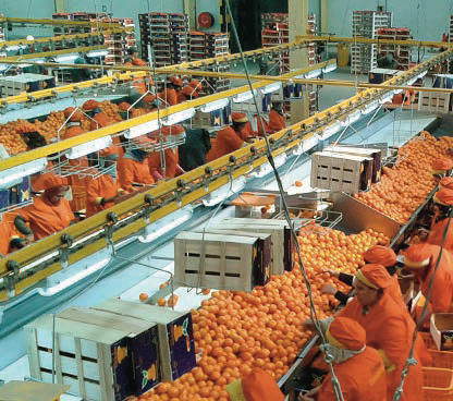 L’Oriental déroule le tapis rouge aux industriels