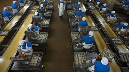 Dakhla convoite les industriels