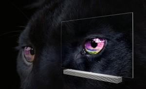 lgBLACK