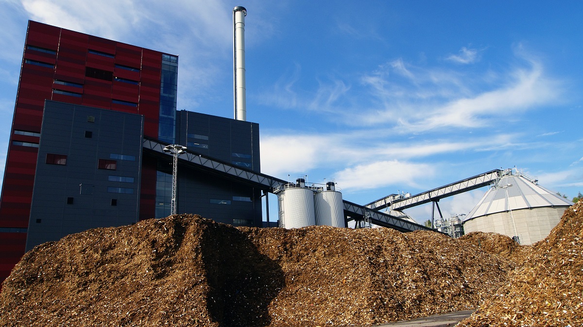 Biomasse, un potentiel énergétique sous-exploité au Maroc