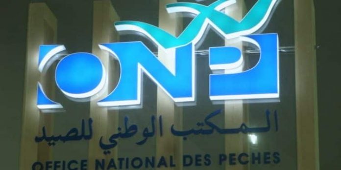 Baisse-de-2-%-des-débarquements-Port-Safi